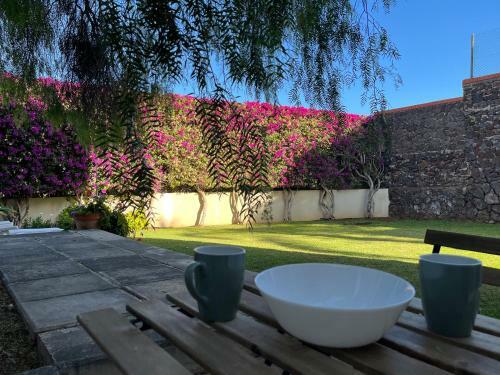 Apartamento Dream Garden