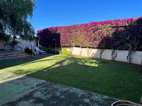 Apartamento Dream Garden