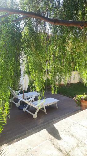 Apartamento Dream Garden