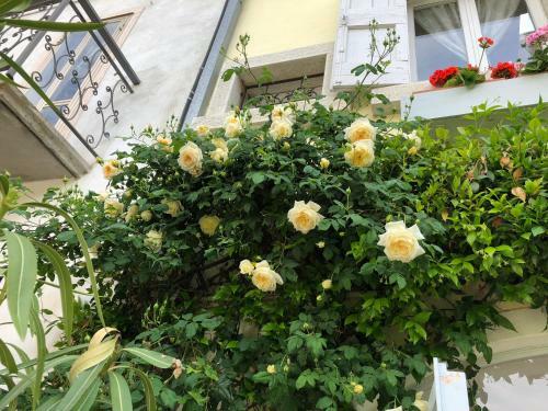 B&B Casapiu