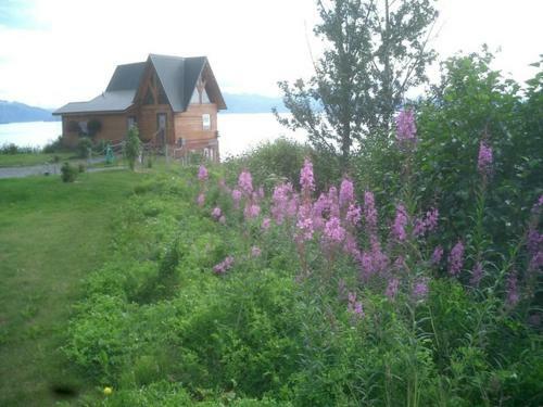 Lodge Homer Alaska Vacation Rental