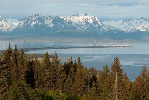 Lodge Homer Alaska Vacation Rental