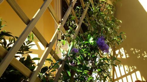 B&B Dal Pozzo