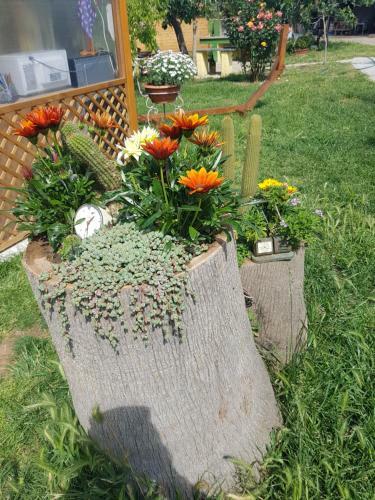 B&B Dal Pozzo