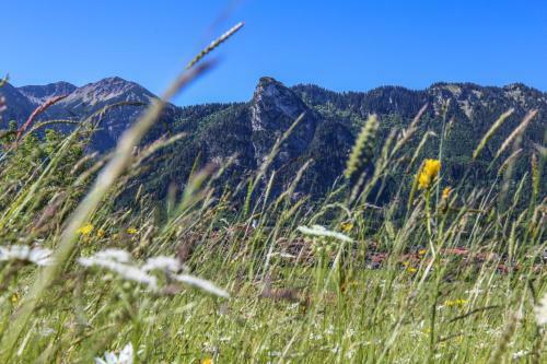 Apartamento Ferienwohnung Gipfelgl�ck