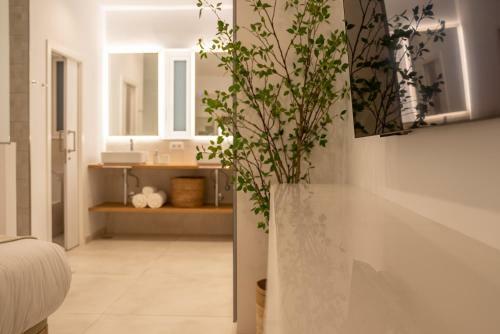 Apartamento Casa Perseida
