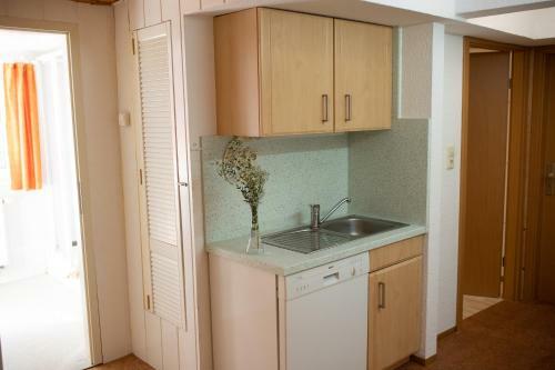 Apartamento Ferienwohnung-ihle Olbernhau