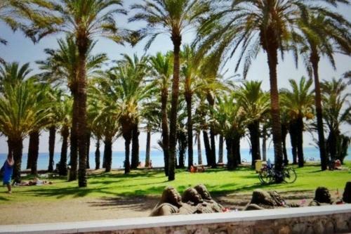 Apartamento Torremolinos Vistas Al Mar: Bajondillo