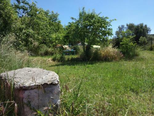 Camping Yaso-guara