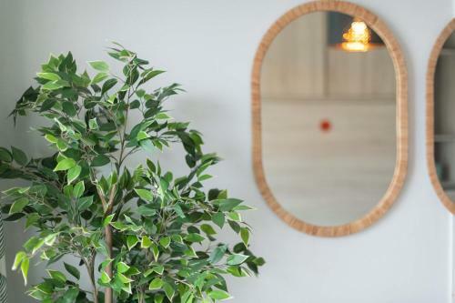Apartamento Paradise Corner
