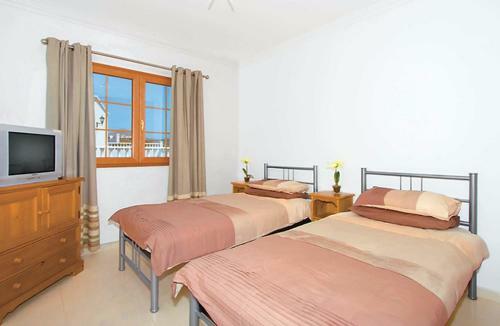 Villa Amaryills
