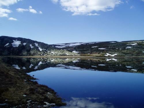 Apartamento Bonito Estudio Parque Nacional De Sierra Nevada
