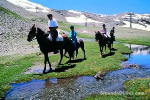 Apartamento Bonito Estudio Parque Nacional De Sierra Nevada