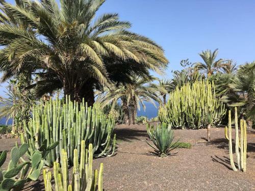Apartamento Marazul Del Sur, Heated Pool, Sea View, Wifi