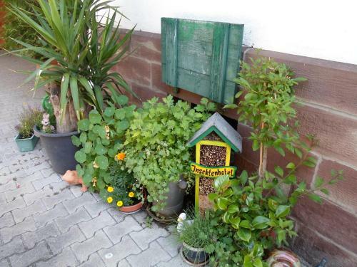 Hostal G�stezimmer Zipf