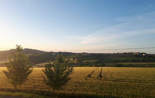 B&B I Pini Di Storaco
