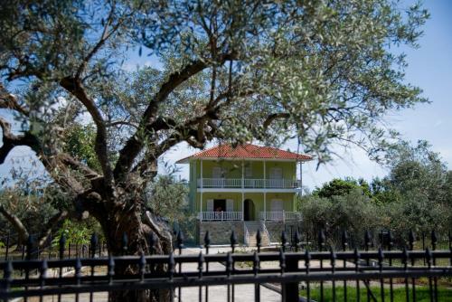 Apartamento Olivegrove House