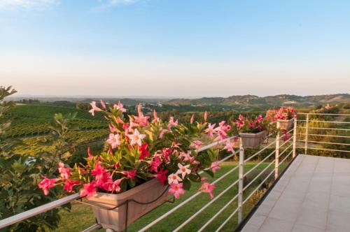 Agroturismo Casa Lucesole