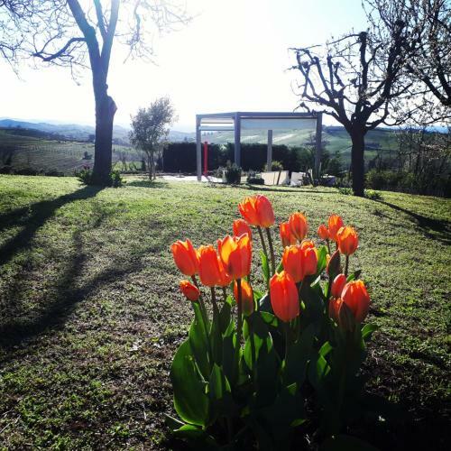 Agroturismo Casa Lucesole