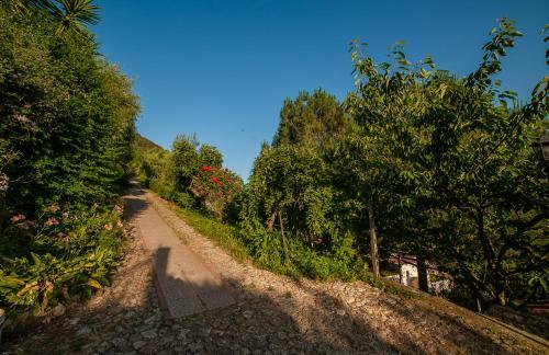 B&B Sopra Il Borgo