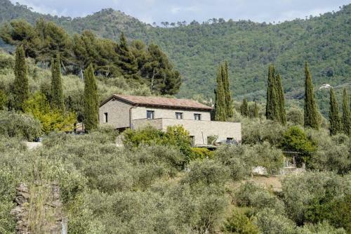 B&B Il Pianolo