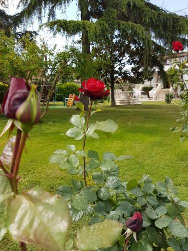 Hostal Il Giardino Di Stella
