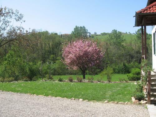 Agroturismo Agriturismo Cascina Tollu