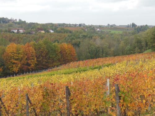 Agroturismo Agriturismo Cascina Tollu
