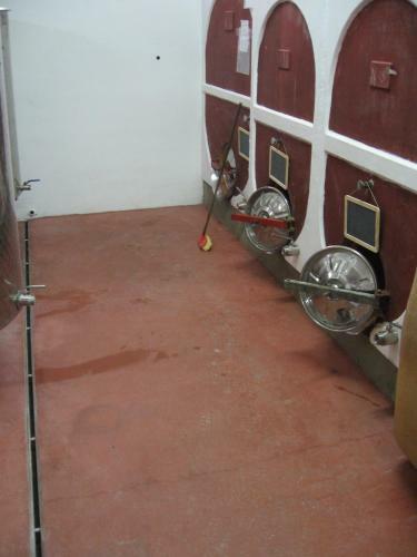 Agroturismo Agriturismo Cascina Tollu