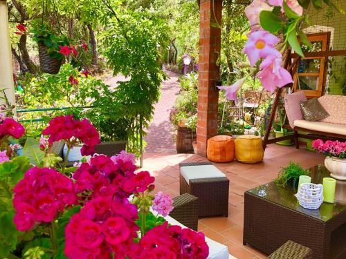 Bed & Breakfast Nonna Lelletta