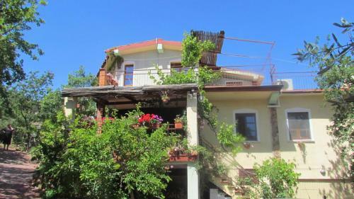 Bed & Breakfast Nonna Lelletta