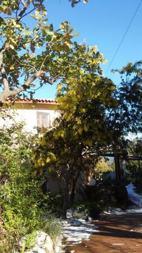 Bed & Breakfast Nonna Lelletta
