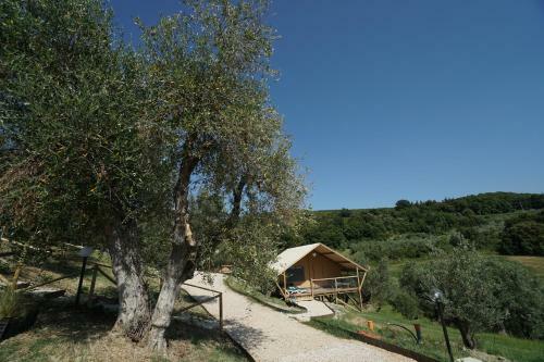 Agroturismo Podere Cortesi Agriturismo Molinaccio