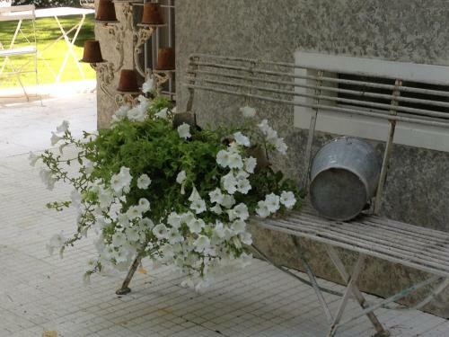 Hotel Casa Cuniolo Guest House