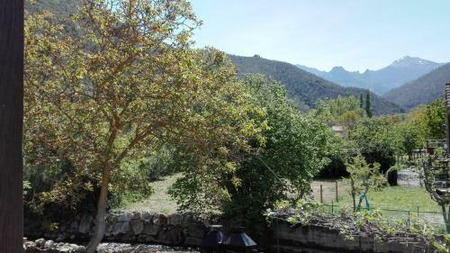 Apartamentos Casa Celia