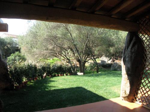 Bed & Breakfast Il Vecchio Ginepro
