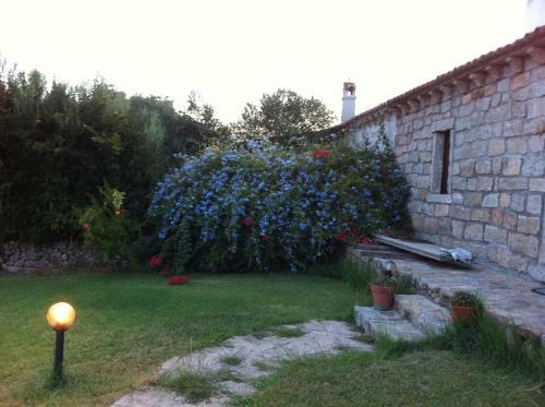 Bed & Breakfast Il Vecchio Ginepro