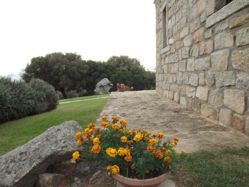 Bed & Breakfast Il Vecchio Ginepro