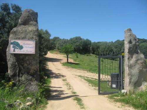 Bed & Breakfast Il Vecchio Ginepro