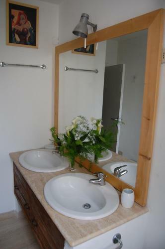 Bed & Breakfast Arena Alfieri