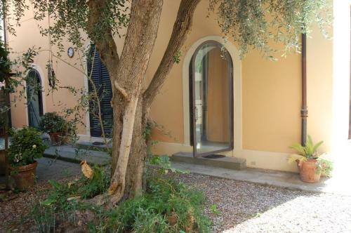 Bed & Breakfast Arena Alfieri