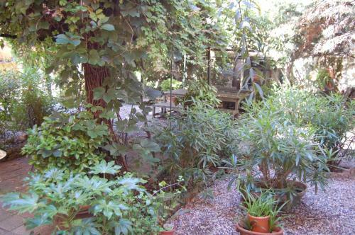 Bed & Breakfast Arena Alfieri