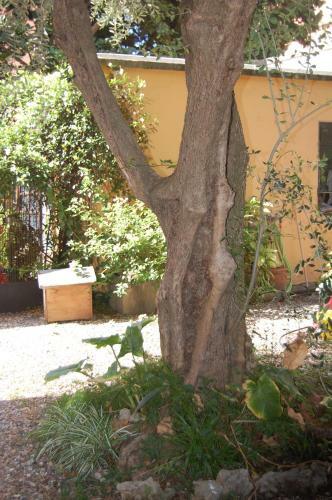 Bed & Breakfast Arena Alfieri