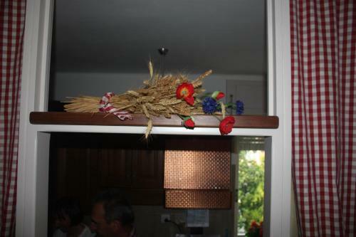 B&B Barucin