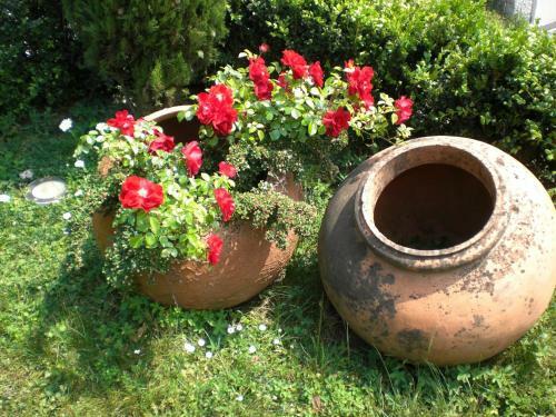Bed & Breakfast Residenza Ca' Laripa
