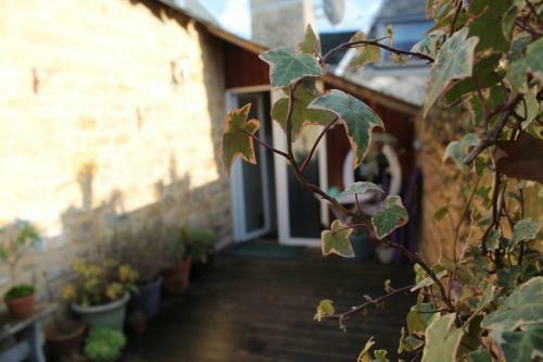 Bed & Breakfast C�t� Chambres