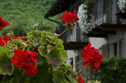 Apartamento Sul Bric Dei Capalot