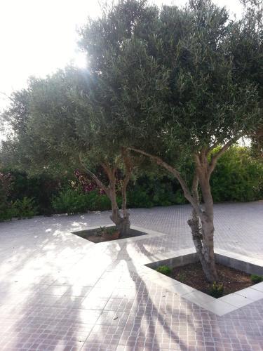Apartamento Residence Agave Lampedusa