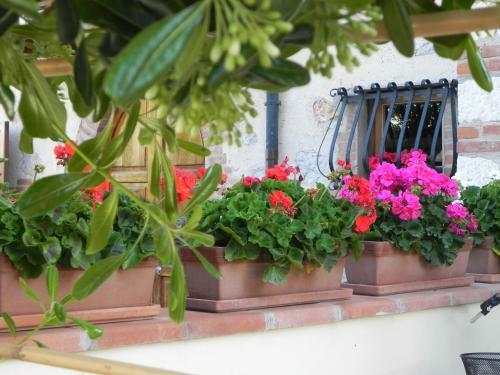 Bed & Breakfast Villa Il Fortino