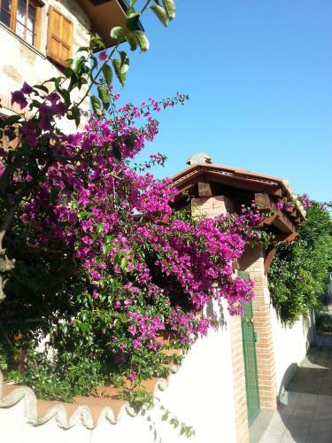 Bed & Breakfast Villa Il Fortino